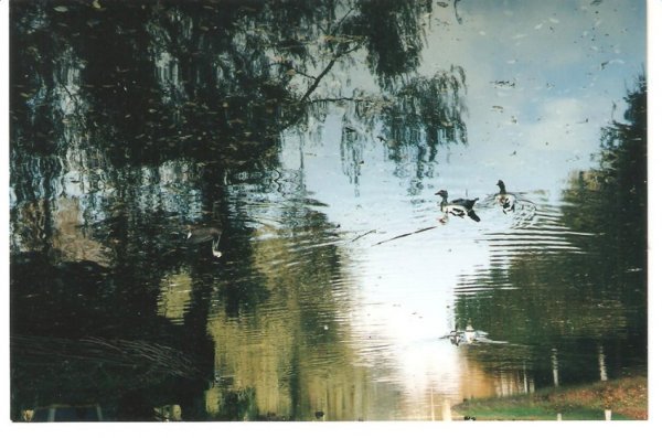 Фотовиставка Олександра Пизи